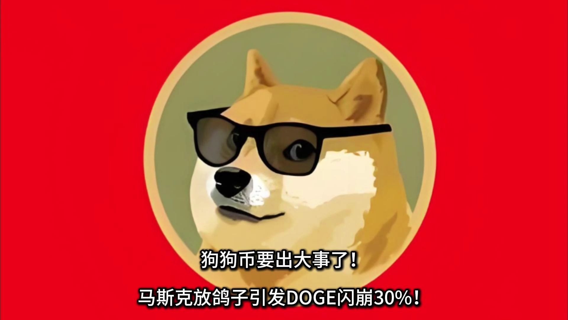 包含马斯克再次发推，狗狗币瞬间上上涨250%！的词条